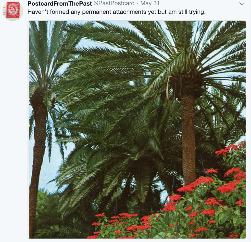 Postcards – June 2019