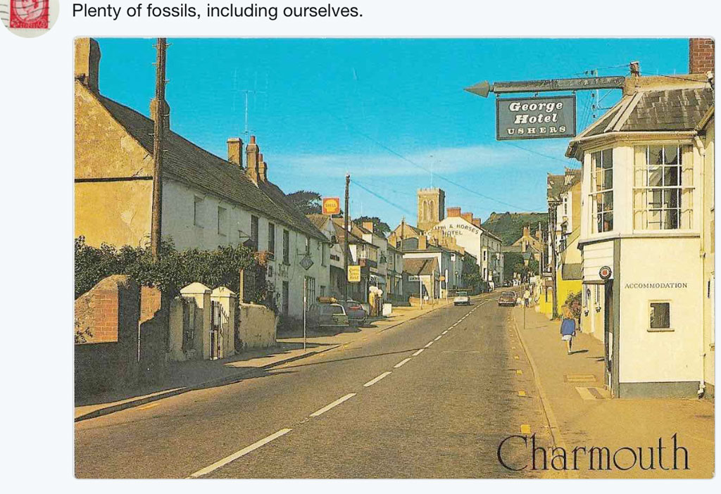 Postcards – June 2019