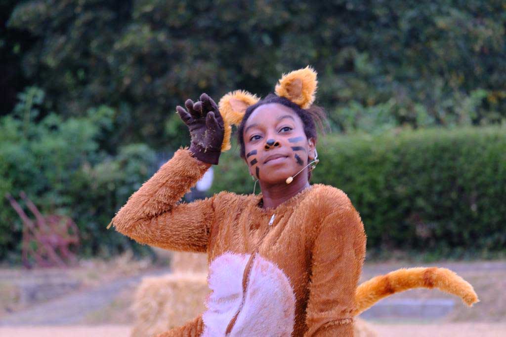 Puss in Boots – August 2020