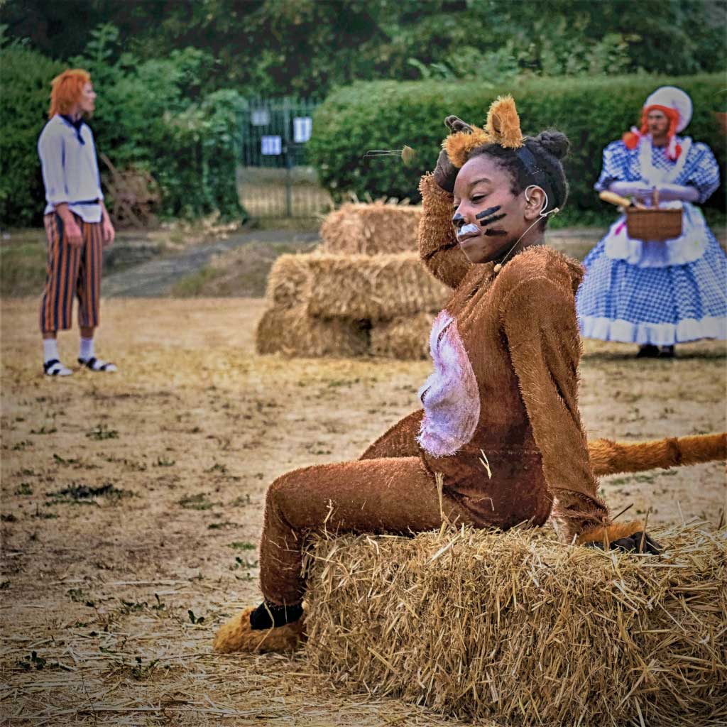 Puss in Boots – August 2020